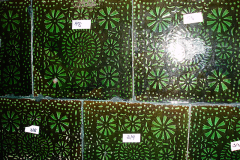 DSC00015