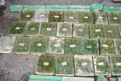 DSC00005